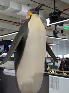 Bring penguin, tiger, giraffe into your room with this Google trick