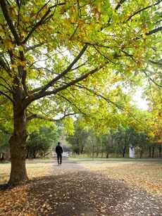 August 2024 Long Weekend Getaways Near Delhi, Mumbai, Bengaluru