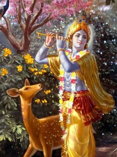 9 Surprising Facts About Lord Krishna