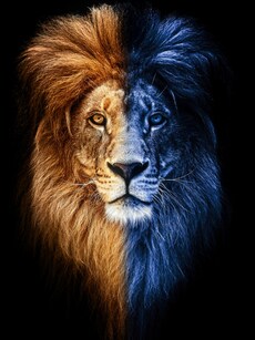 8/8: Secrets of the Lion’s Gate Portal Manifestation You Didn’t Know
