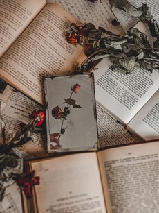 10 Life Changing Books You Can Read in a Day