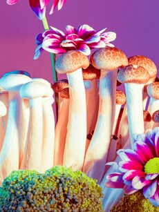 9 Mind-Altering Plants That Will Twist Your Mind