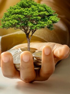 10 Reasons Why You Should Invest in Mutual Funds