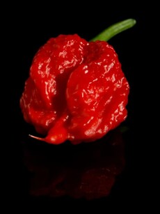 10 Exotic Places to Find World’s Most Fiery Chillies
