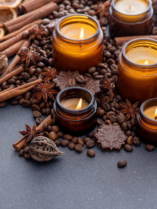 Smells like a home 9 natural fresheners to freshen up your home