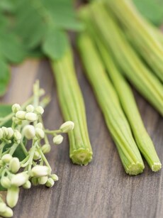 11 health benefits of moringa, eaten fresh, roasted or as powder