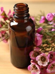 11 benefits of tea tree oil: Fight dandruff, stop hair loss, itchy scalp