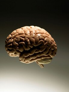 Keep your brain sharp, healthy with these 8 foods