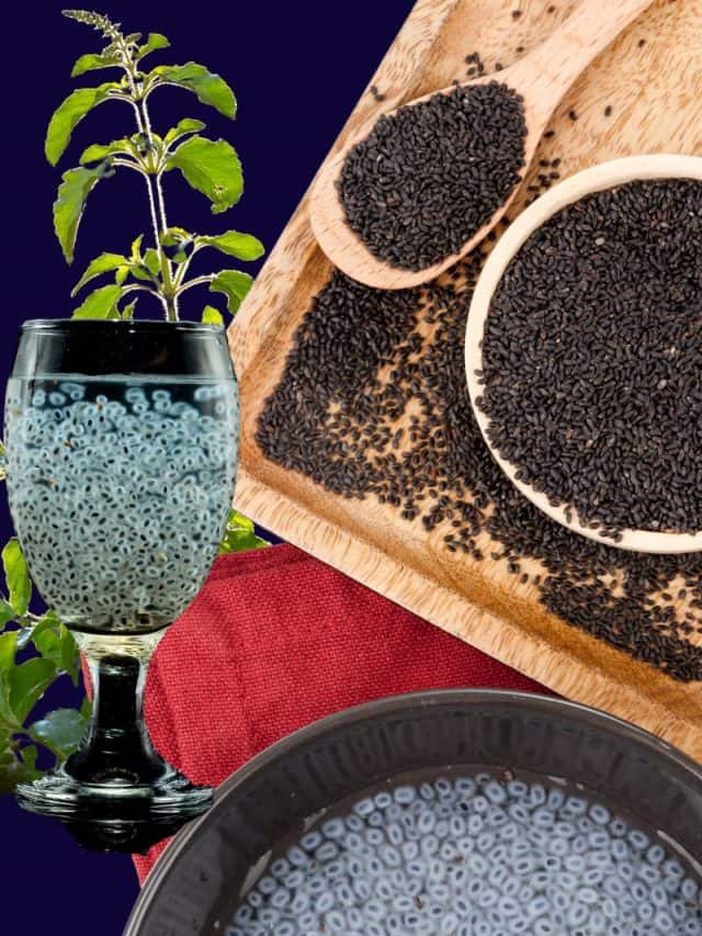 Basil Seed Benefits: تلسی کے بیج کے حیران کن فوائد