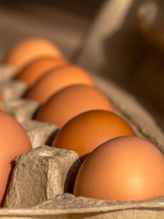 Health benefits of eggs, the vitamin powerhouse