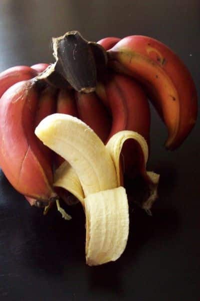 red banana (6)-2024-08-30c3a6f3b30276b8b2b18bae603100d1