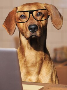 Top 10 Funny Memes That Every Engineer Will Relate To