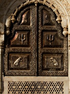 Karni Mata Temple: India&rsquo;s Most Famous Rat Temple