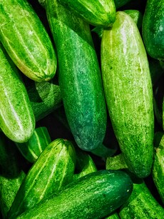 Cucumber: Superfood in your daily diet to boost complete health