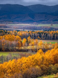 9 Secret Hill Stations in Japan for Your Next Escape