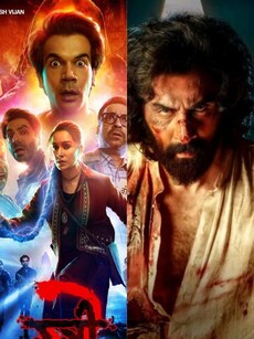Hindi Movies That Earned Close To Rs 600 Crore Nett At The Indian Box Office