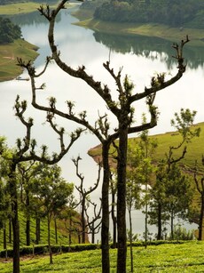 10 Must-Explore Hill Stations in the Western Ghats