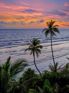 9 Hidden Gem Attractions in Goa You Absolutely Must Visit!