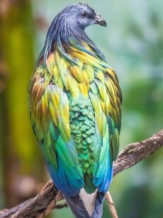 Top 10 Largest Zoos In The World for Your Next Family Adventure