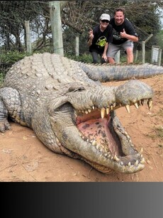 Meet Henry: The World&rsquo;s Oldest Living Crocodile