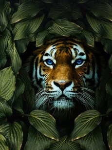 10 wildlife photography tips for incredible photos