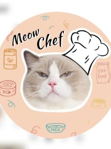 Meet Puff: Internet&rsquo;s most popular cat