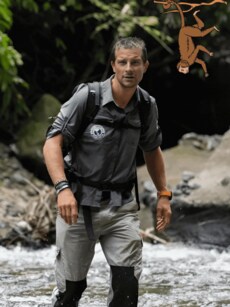 How to Start a Wildlife Career Inspired by Bear Grylls?