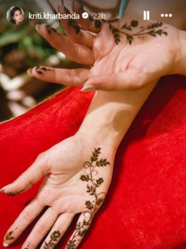 Kriti Kharbanda Pulkit Samrat karwa Chauth (1)-2024-10-8142dfbaa56ef4f3bc4e4471ba87a1e3