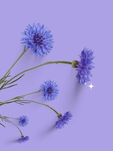 9 Inspiring Quotes That Define Great Teaching