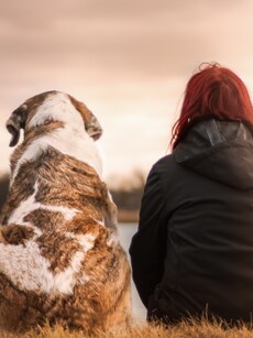 10 Things Humans Can Learn from Dogs