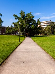 Top 10 Largest University Campuses in India