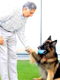 Ratan Tata&rsquo;s Love for Dogs: See Heartwarming Photos
