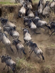 10 Stunning National Parks You Must Visit Around the Globe