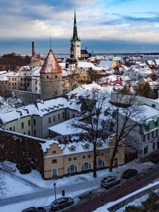 Top 10 Greenest Countries in the World