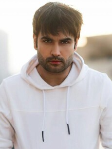 Bigg Boss 18: All You Need To Know About Contestant Vivian Dsena
