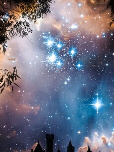 Top 10 Brightest Stars to Look at in the Night Sky