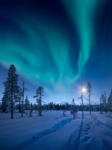 Top 10 Best Performing Countries in Nature Conservation Index 2024