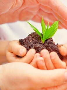 Top 10 Worst Performing Countries in Nature Conservation Index 2024