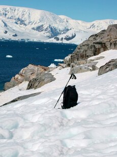 Top 10 Must-Visit Destinations in Antarctica in November