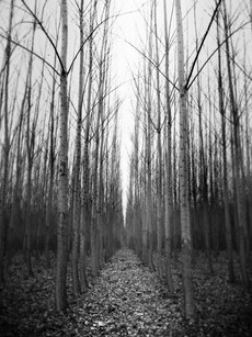 Top 10 Most Haunted Places in India