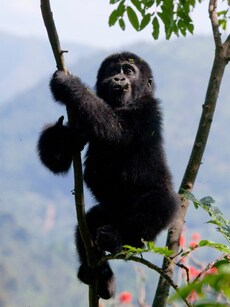 10 Incredible Wildlife Photography Destinations