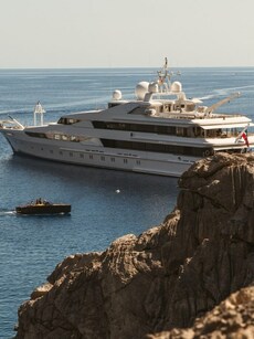 10 Incredible Cruise Destinations for Wildlife Enthusiasts