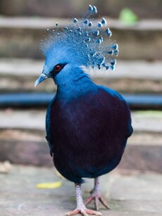 10 Best Wildlife Getaways Around the World for Adventure Seekers