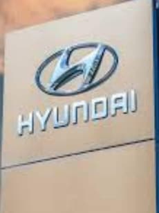 India’s Biggest IPOs: Hyundai, LIC, Coal India and More