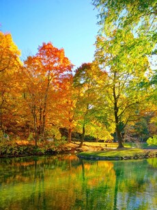 11 Autumn Destinations Worldwide for the Best Fall Foliage