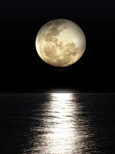 Karwa Chauth tonight: 10 photography tips to capture candid couple portraits