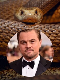 Newly Discovered Himalayan Snake Named After Leonardo DiCaprio