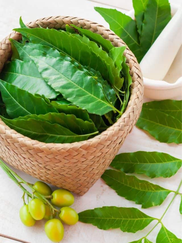 Home remedies with neem: Stop acne and dandruff, soothe scalp