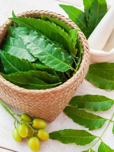 Home remedies with neem: Stop acne and dandruff, soothe scalp