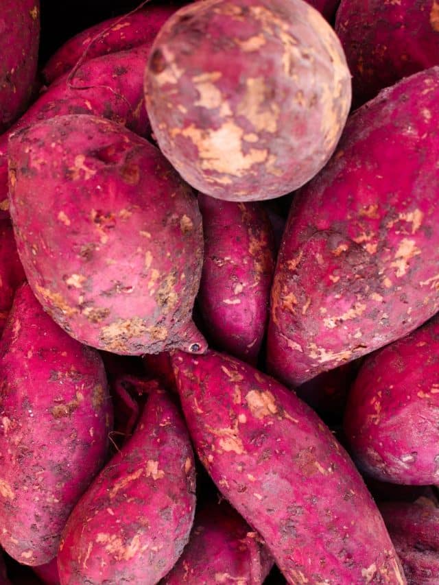 10 benefits of sweet potatoes, from healthy skin to immunity boost